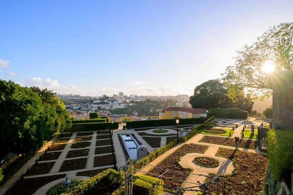 Jardim do Roseiral (Palácio de Cristal) reabre portas no Porto, após extensa recuperação